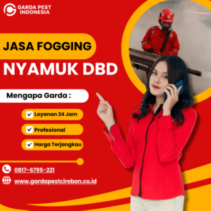 Berapa Harga Jasa Fogging Nyamuk