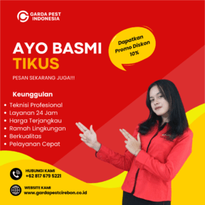 Jasa Pembasmi Hama Tikus Cirebon