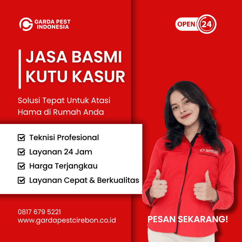 Jasa Pembasmi Kutu Kasur di Purwokerto Cepat 24 Jam