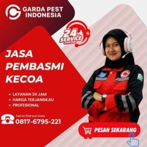 jasa pembasmi kecoa