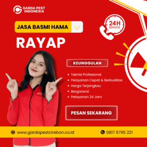 Jasa Anti Rayap Garut