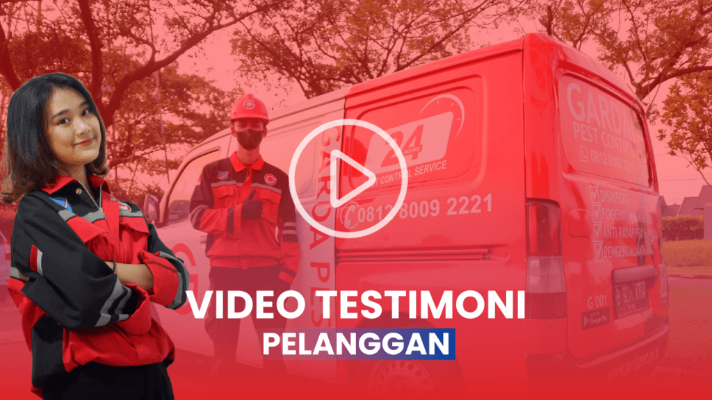 Video Testimoni Jasa Anti Rayap