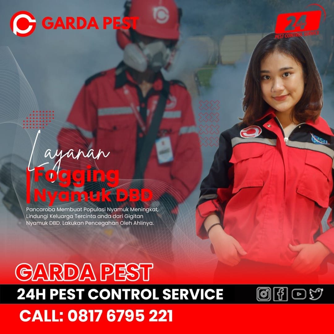 Jasa Fogging Nyamuk di Semarang Timur Aman dan Cepat