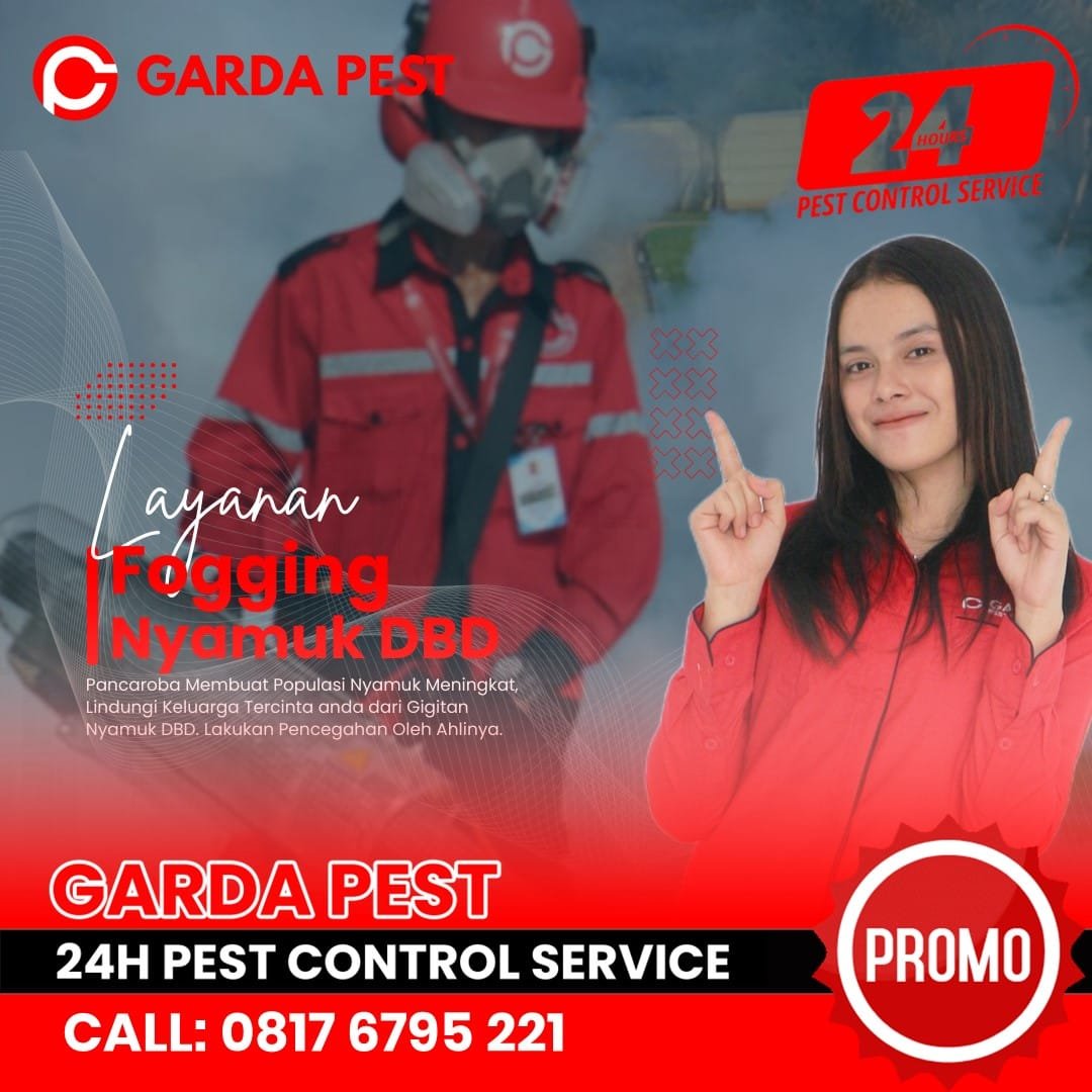 Jasa Fogging Nyamuk di Semarang Utara Harga Mulai 25K/Rumah