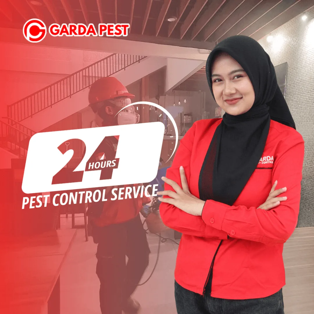 Jasa Pembasmi Hama Panggilan Tangani 24 Jam Nonstop