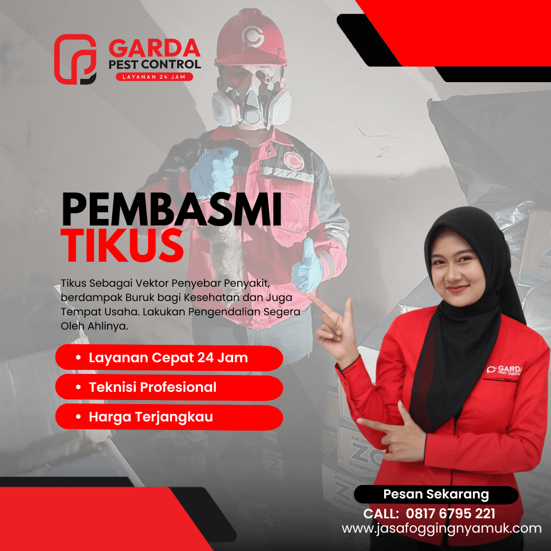 Ahlinya Jasa Pembasmi Tikus di Indonesia