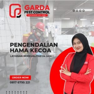 Jasa Pembasmi Kecoa Terdekat dan Terbaik