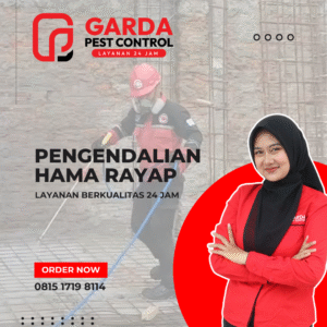Jasa Suntik Anti Rayap di Tangerang Bergaransi Untuk Bangunan Baru