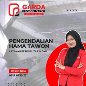 Ahli Basmi Tawon Terdekat