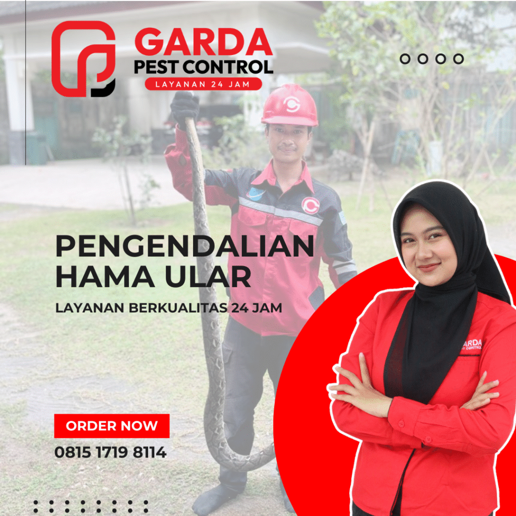 Jasa Pembasmi Hama Bandung Tangani 24 Jam Nonstop